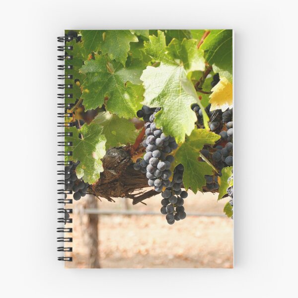 Item preview, Wine grapes, Napa CA designed and sold by mzphoto.