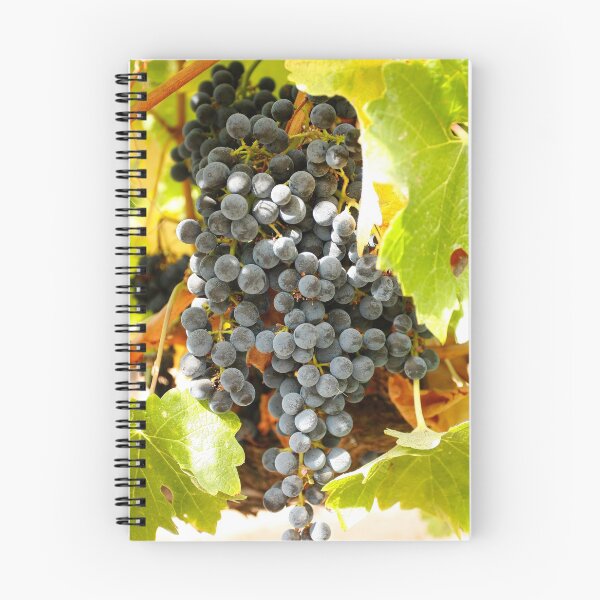 Item preview, Wine grapes, Napa CA designed and sold by mzphoto.