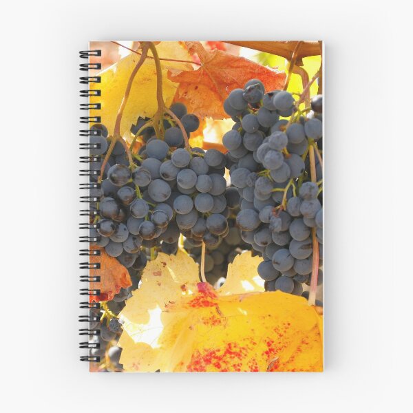 Item preview, Wine grapes, Napa CA designed and sold by mzphoto.