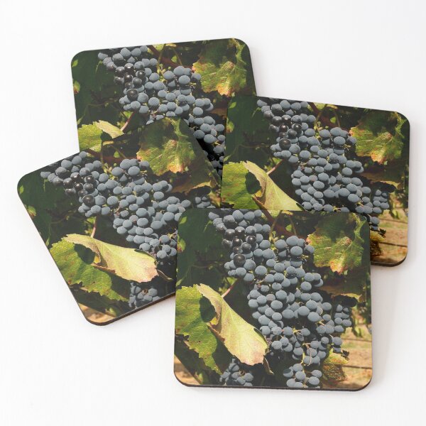 Aperçu de l'œuvre Wine grapes, Napa CA créée et vendue par mzphoto.