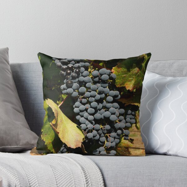 Aperçu de l'œuvre Wine grapes, Napa CA créée et vendue par mzphoto.