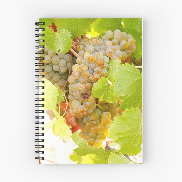 Item preview, Wine grapes, Napa CA designed and sold by mzphoto.