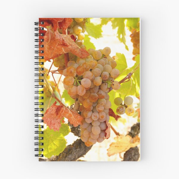 Item preview, Wine grapes, Napa CA designed and sold by mzphoto.