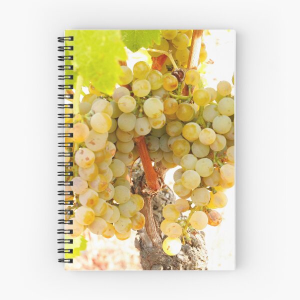 Item preview, Wine grapes, Napa CA designed and sold by mzphoto.