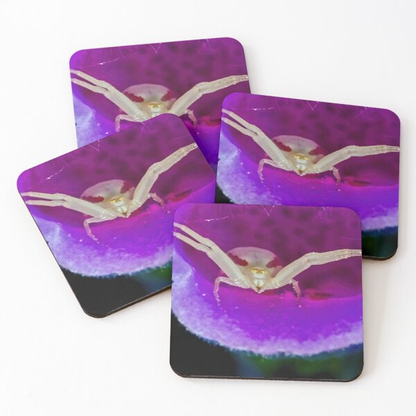 Item preview, Spider in Trillium designed and sold by DueNorthGallery.