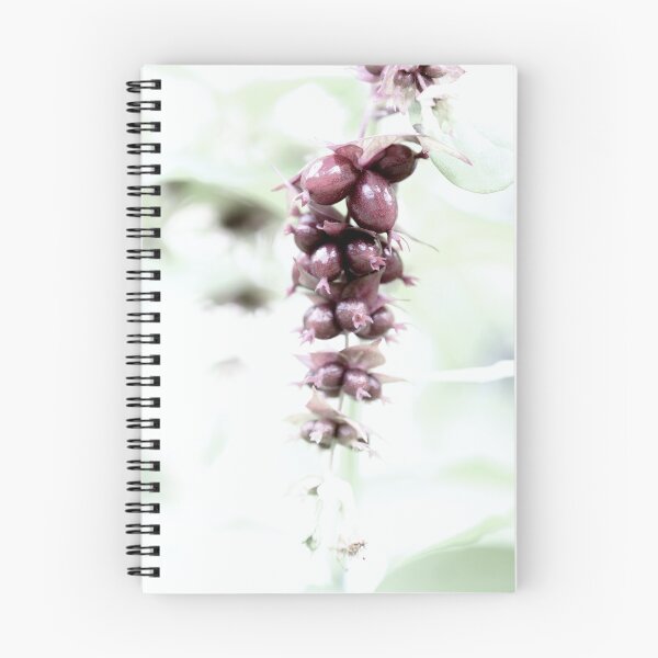 Item preview, Pheasant berry in high key designed and sold by cuprum.