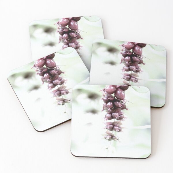 Item preview, Pheasant berry in high key designed and sold by cuprum.