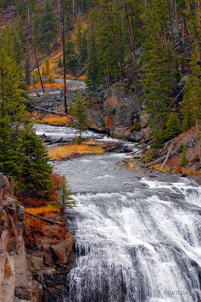 "Firehole River - Yellowstone National Park" by laurasonja | Redbubble