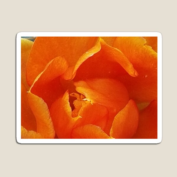 fiery orange flower Magnet