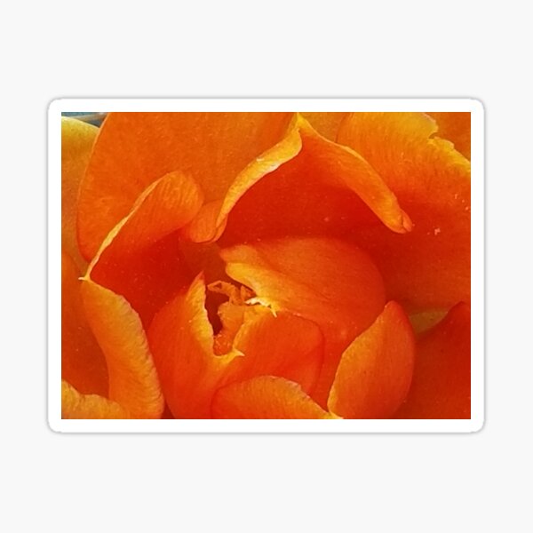 fiery orange flower Sticker