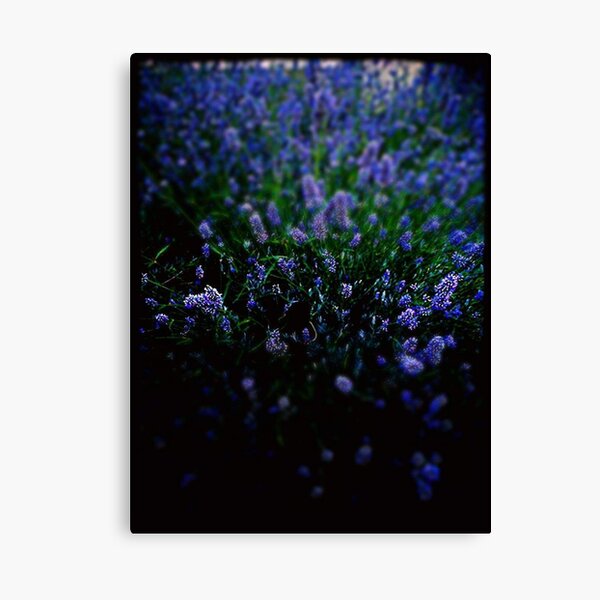 Item preview, Lavender blooms  designed and sold by wanderingNomad.