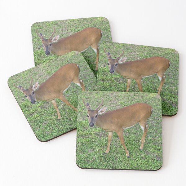 Item preview, Key Deer in the Florida Keys designed and sold by aura2000.