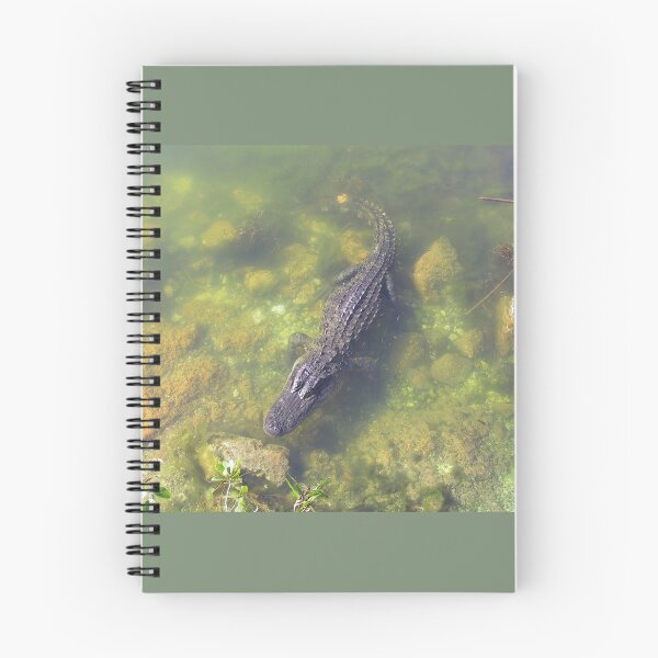 Item preview, Alligator in the Florida Keys designed and sold by aura2000.