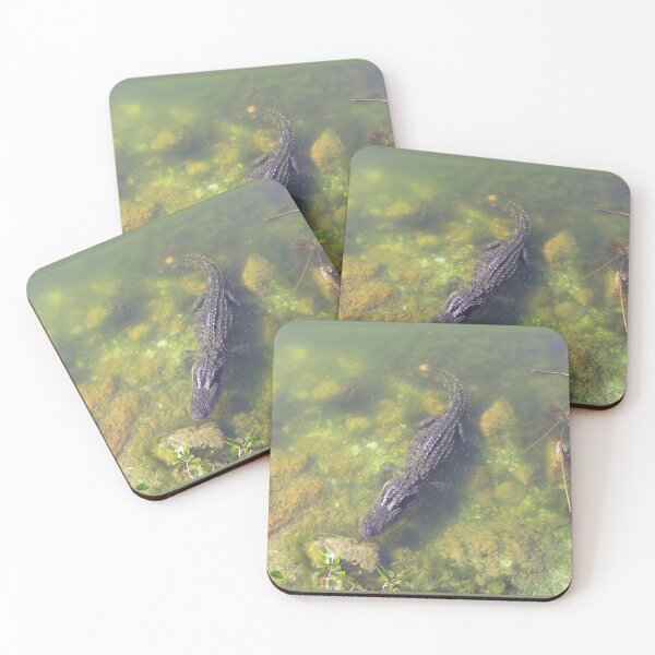 Item preview, Alligator in the Florida Keys designed and sold by aura2000.