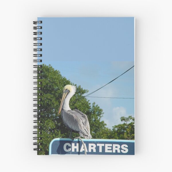 Item preview, Pelican in the Florida Keys designed and sold by aura2000.
