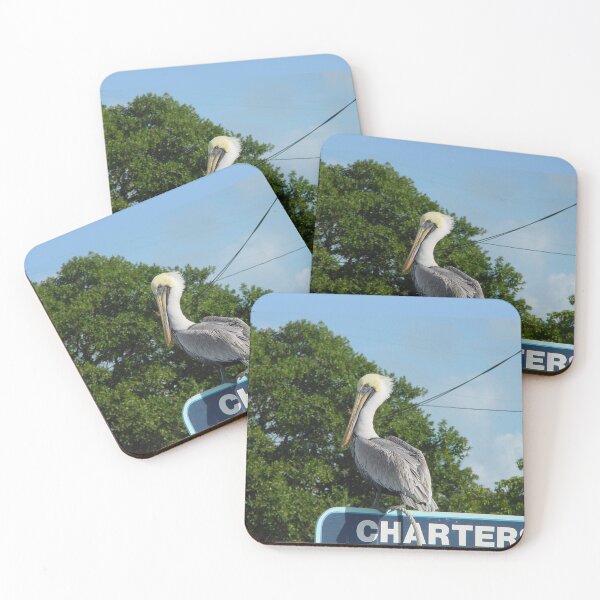 Item preview, Pelican in the Florida Keys designed and sold by aura2000.