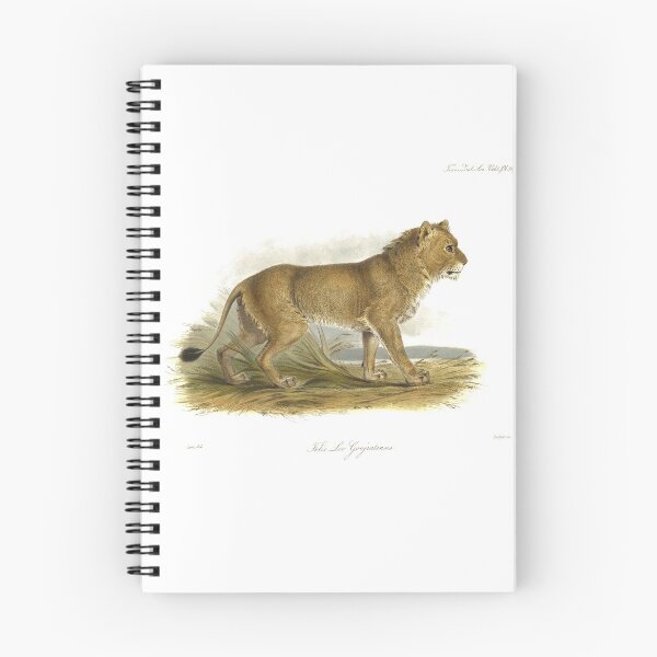 Item preview, India Mainless Lion designed and sold by simpson92.