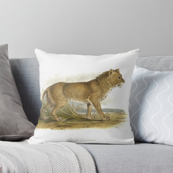 Item preview, India Mainless Lion designed and sold by simpson92.