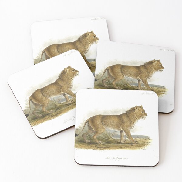 Item preview, India Mainless Lion designed and sold by simpson92.