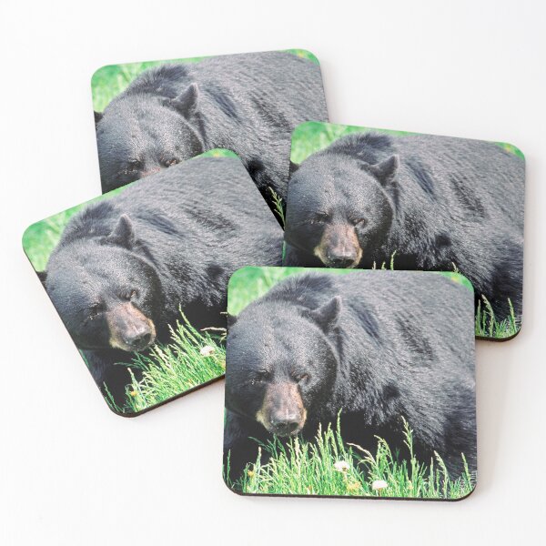 Item preview, Black Bruin designed and sold by DueNorthGallery.