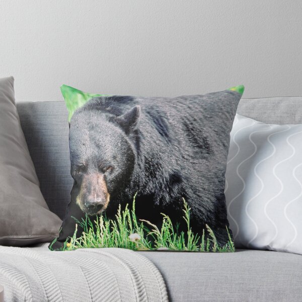 Item preview, Black Bruin designed and sold by DueNorthGallery.