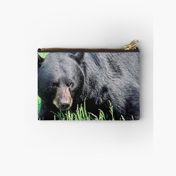 Item preview, Black Bruin designed and sold by DueNorthGallery.