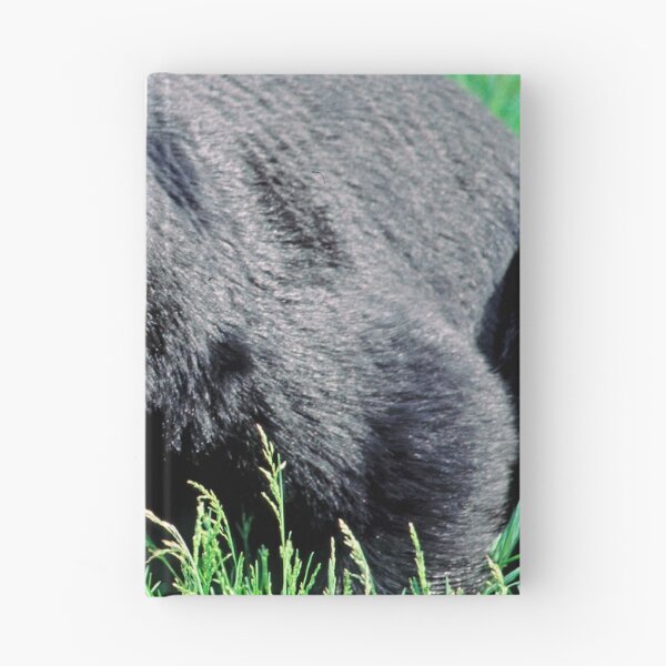 Item preview, Black Bruin designed and sold by DueNorthGallery.