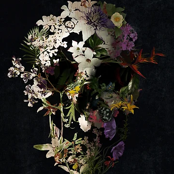 Artwork thumbnail, Spring Skull 2 by Ali Gulec