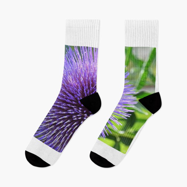 Item preview, Allium designed and sold by LisaWootenPhoto.