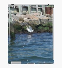 Beautiful Seagull iPad Case/Skin