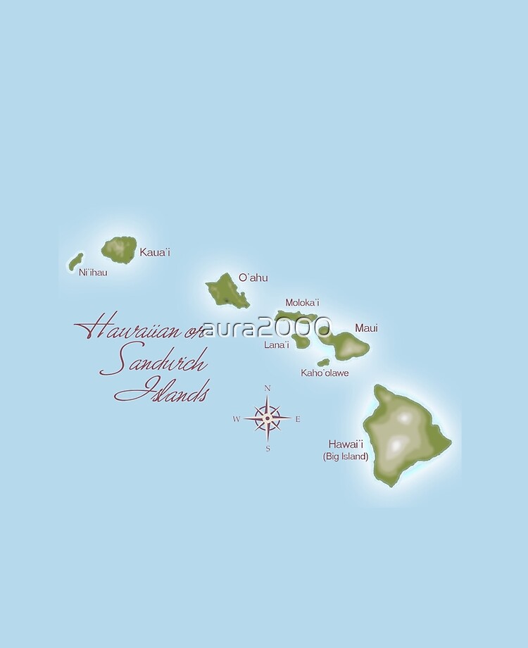 iPad　aura2000　for　The　Case　Skin　by　Hawaiian　Redbubble　Islands