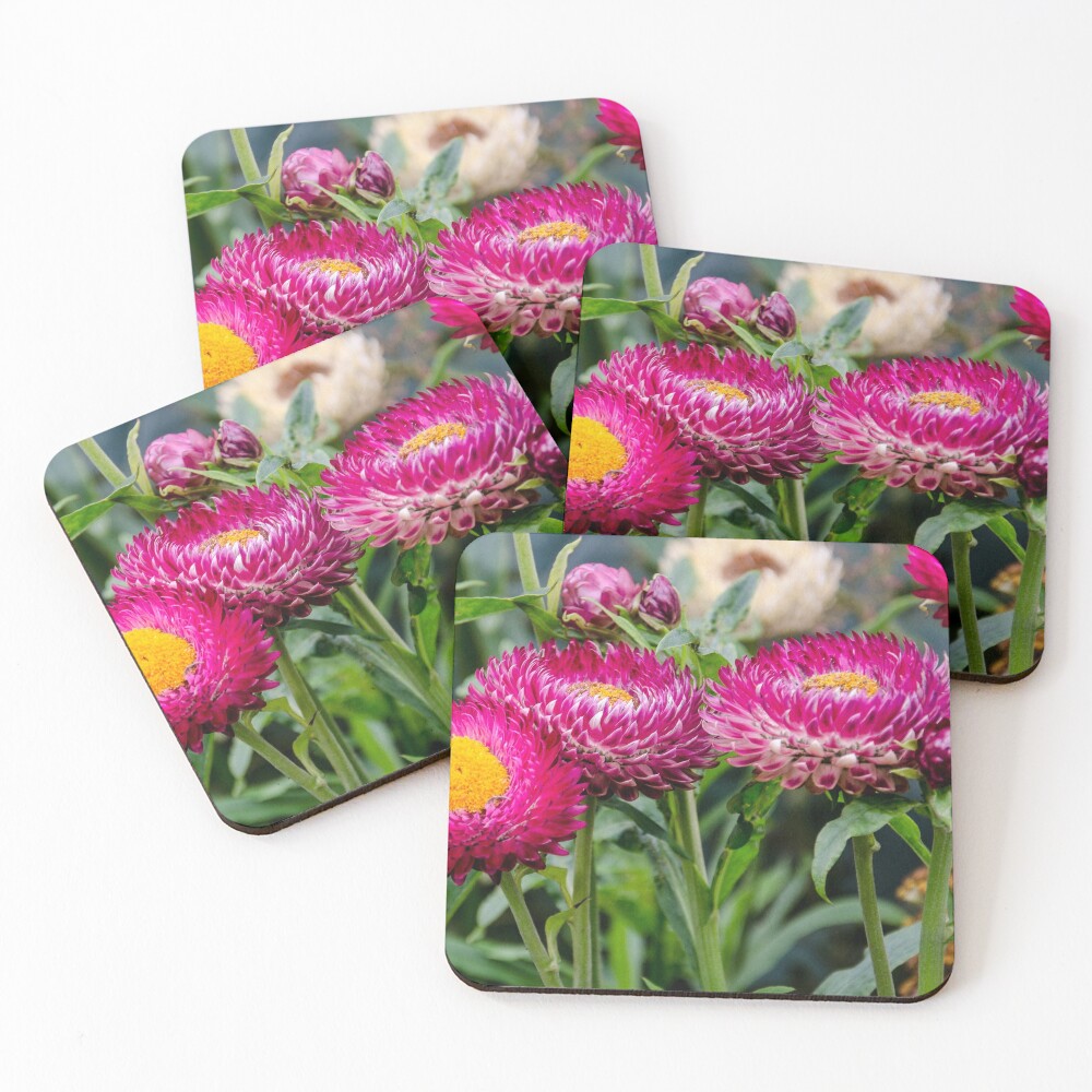 Item preview, Coasters (Set of 4) designed and sold by Marsbub.