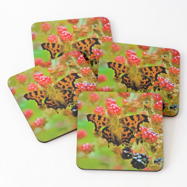 Item preview, TUTTI FRUTTI  designed and sold by NICK COBURN PHILLIPS.