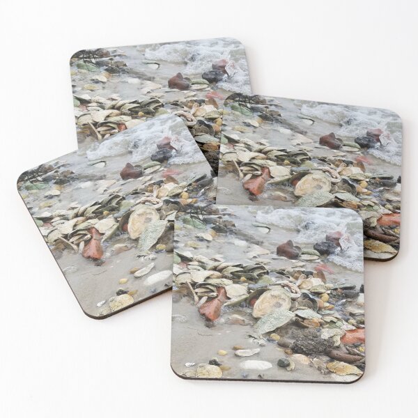 Item preview, Sea Shell Collection designed and sold by MooseDogPhotos.