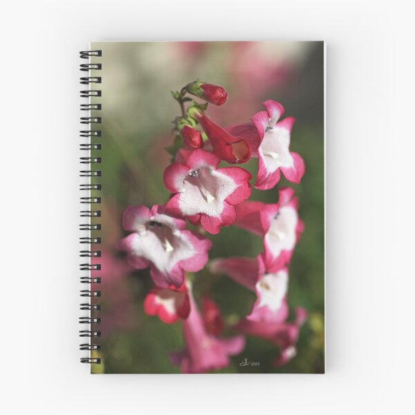 Item preview, An Autumn Dream designed and sold by Joy Watson - Natural Light Photography .