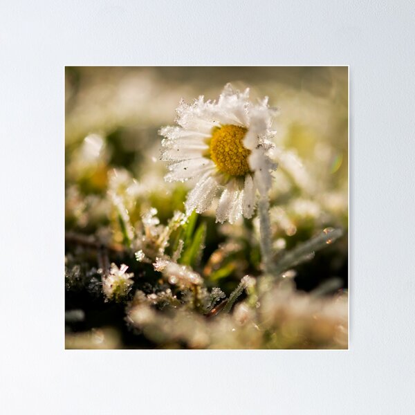 Item preview, A Frozen Memory designed and sold by Marco Heisler.
