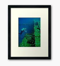 Blue as Blue Should Be! Framed Print
