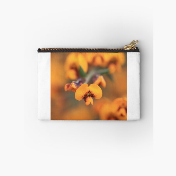 Item preview, Daviesia ulicifolia   designed and sold by ausnative.