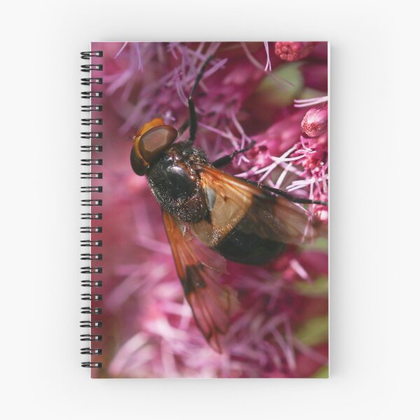 Item preview, Pellucid hoverfly  designed and sold by GreyFeatherPhot.