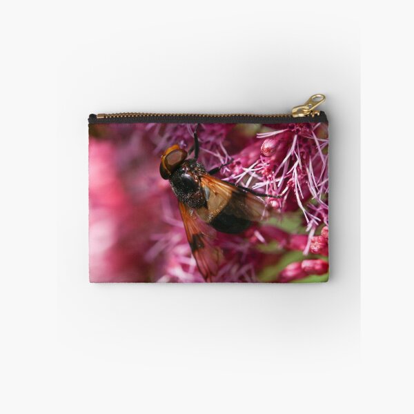 Item preview, Pellucid hoverfly  designed and sold by GreyFeatherPhot.