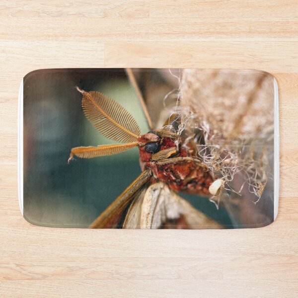 Item preview, Atlas moth close up designed and sold by GreyFeatherPhot.
