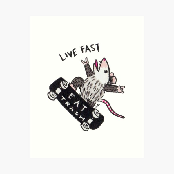 Item preview, Live Fast Eat Trash designed and sold by possum-mood.