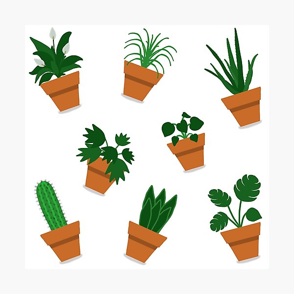 Item preview, Mad About Houseplants designed and sold by RainbowBean.