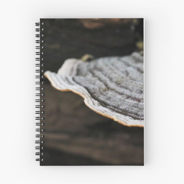 Item preview, Log Fungi 5 designed and sold by Lydia Planalp.