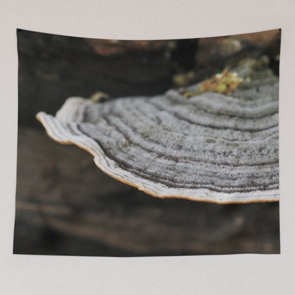 Item preview, Log Fungi 5 designed and sold by Lydia Planalp.