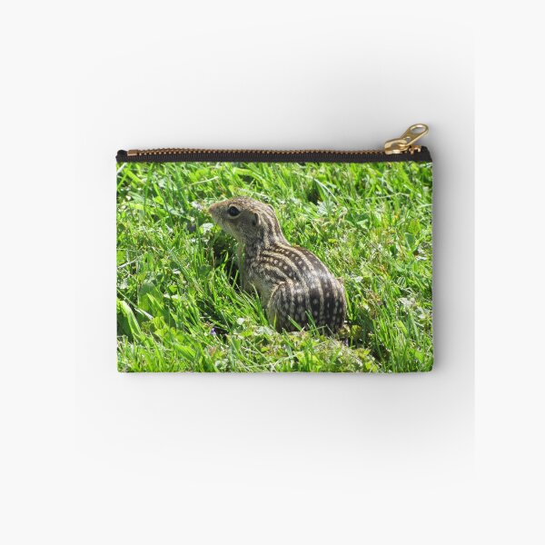 Aperçu de l'œuvre Ground Squirrel nature photograph créée et vendue par adriturner.