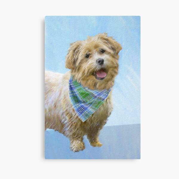 Glen of Imaal Terrier Painting - Original Dog Art Canvas Print