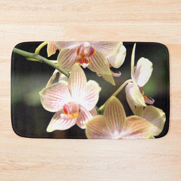 Item preview, Orchid With Stripes designed and sold by Sharon Schwalbe.