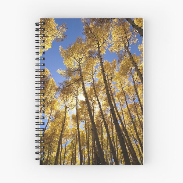 Item preview, Arizona Aspen Fall  Trees in Flagstaff  designed and sold by beamaysing.