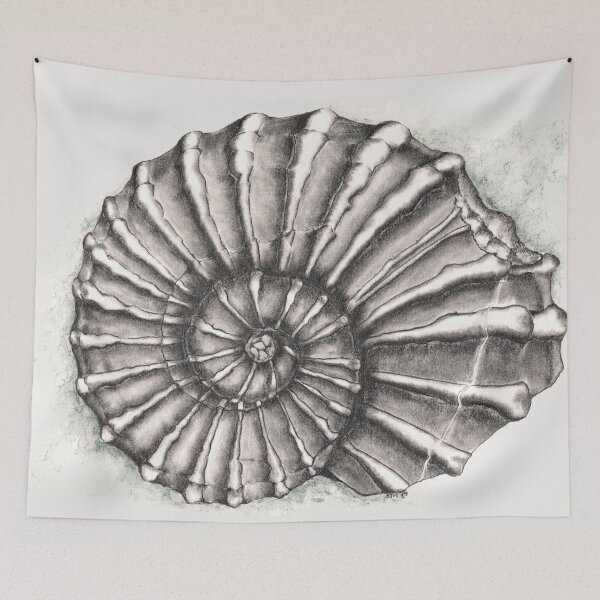 Item preview, Ammonite Fossil on Gray designed and sold by Sharlzndollz.